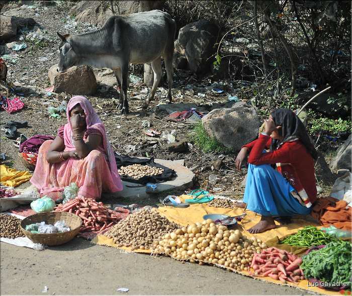 Le long de la route Orcha-Khajuraho. (2)
