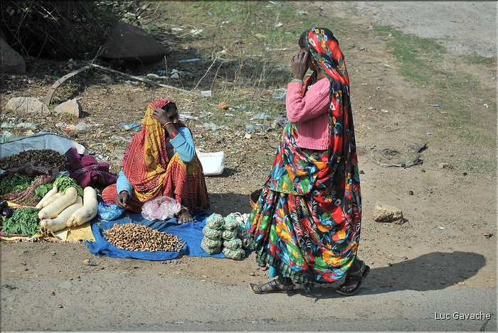Le long de la route Orcha-Khajuraho. (3)