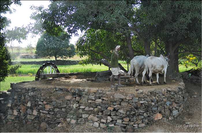 Route Ranakpur-Udapur. (1)