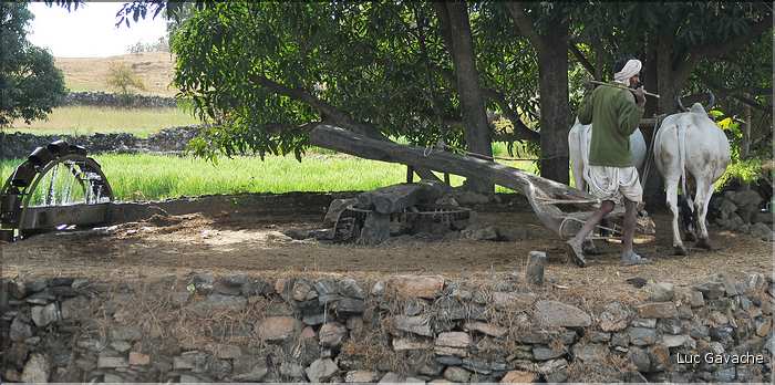 Route Ranakpur-Udapur. (2)