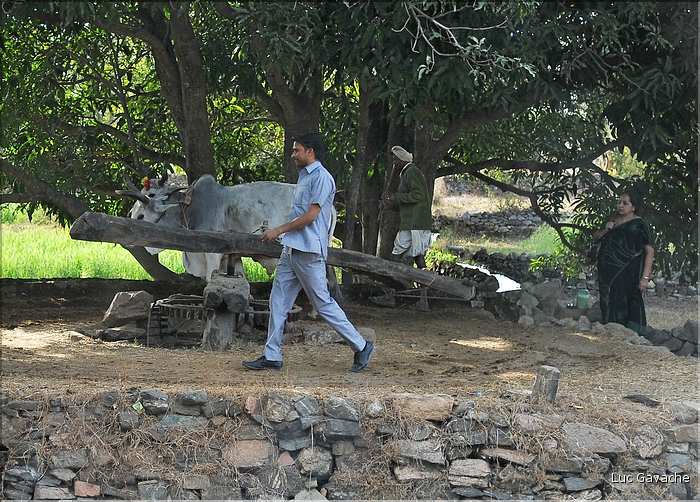 Route Ranakpur-Udapur. (3)