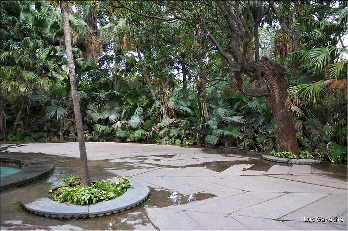 Jardin des Bonnes d'honneur d'Udapur. Sud du Rajasthan. (3)