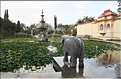 Jardin des Bonnes d'honneur d'Udapur. Sud du Rajasthan. (5)