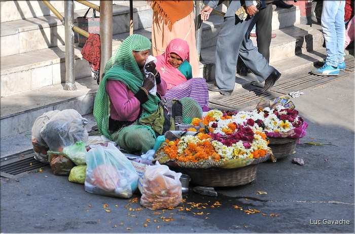 Dans les rues d'Udapur. (1)