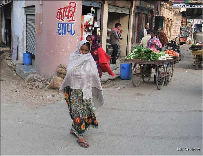 Traversé en Rickshaw du vieux Vanarasi, mieux connu sous le nom de Bénarès. (4)