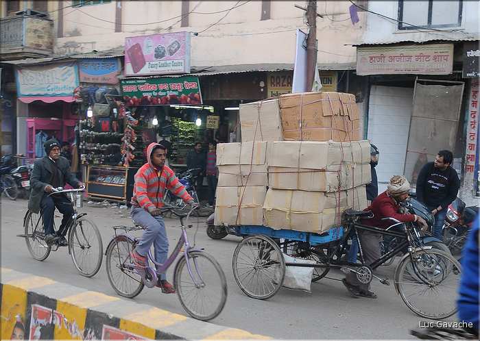 Traversé en Rickshaw du vieux Vanarasi, mieux connu sous le nom de Bénarès. (22)
