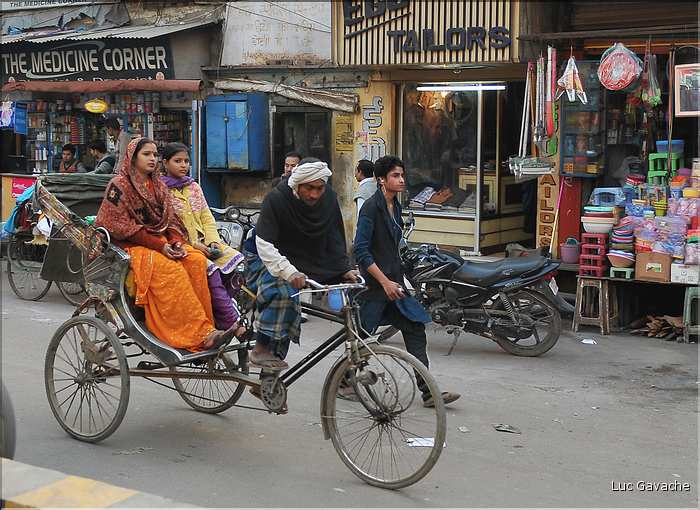 Traversé en Rickshaw du vieux Vanarasi, mieux connu sous le nom de Bénarès. (23)