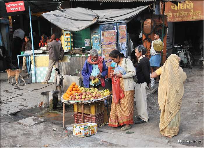 Traversé en Rickshaw du vieux Vanarasi, mieux connu sous le nom de Bénarès. (26)
