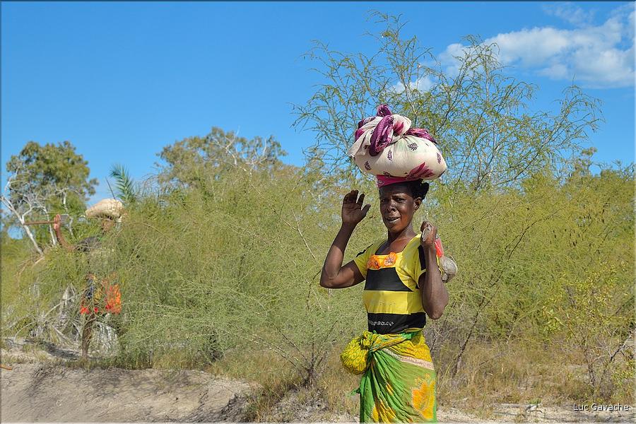 Piste le long de la côte ouest de Morondava à Belo-sur-mer. (22)