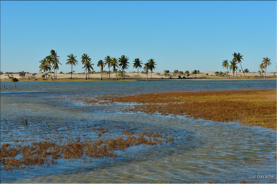 La région de Belo bénéficie d'une cadre naturel absolument magnifique et est peuplée de pêcheurs vezo semi-nomades. (93)