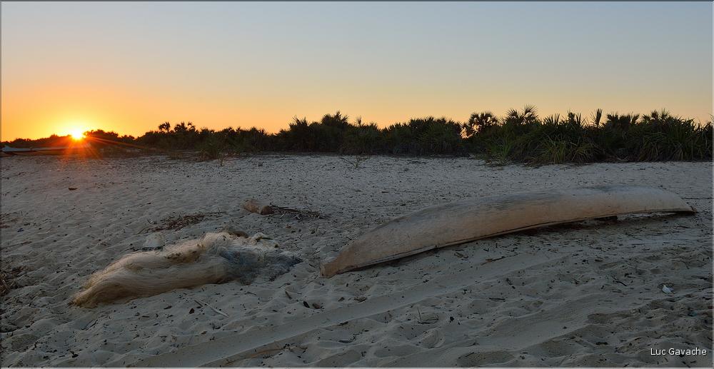 Cela permet également de voir les pêcheurs vezo avant ou après la pêche. (42)