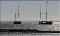 Cela permet également de voir les pêcheurs vezo avant ou après la pêche. (80)