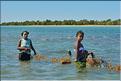 En plus de la pêche, les habitants de Menaky, cultivent des algues destinées à l'exportation. (4)