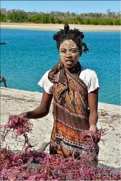 En plus de la pêche, les habitants de Menaky, cultivent des algues destinées à l'exportation. (23) Ici phase de sêchage