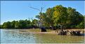 Au départ de Menaky direction, au travers la mangrove, le petit port improvisé, qui permet d'embarquer le sel des fameuses salines de Belo. (10)