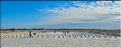 Justement, les salines de Belo-sur-mer à la sortie de la ville. (3)