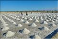 Récolte du sel à Belo-sur-mer. (3)