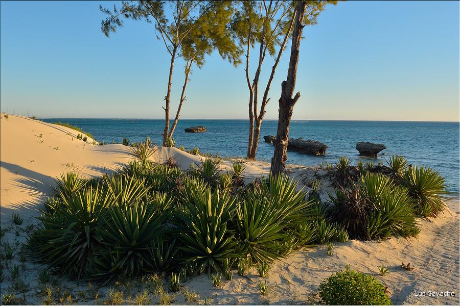 Andavadoaka se situe également sur la côte ouest de Madagascar. (3)