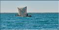Sortie en mer avec des pêcheurs Vezo à Andavadoaka (22)