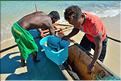 Sortie en mer avec des pêcheurs Vezo à Andavadoaka. (90)