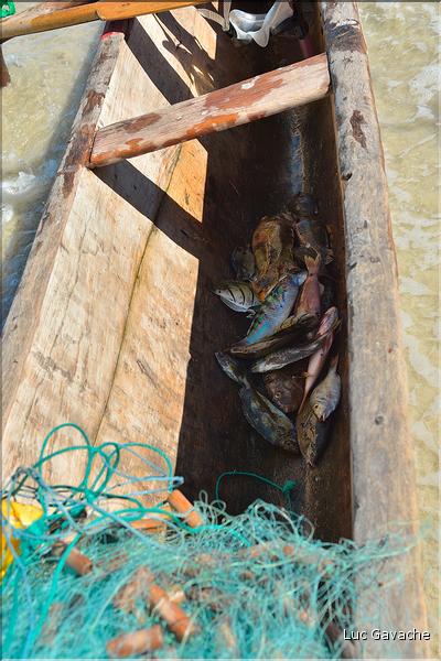 Sortie en mer avec des pêcheurs Vezo à Andavadoaka. (92)