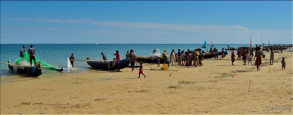 Retour des pêcheurs vezo à Ambolimailaka dans la baie d'Ifaty. (8)