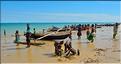 Retour des pêcheurs vezo à Ambolimailaka dans la baie d'Ifaty. (19)