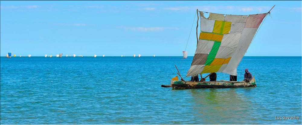 Retour des pêcheurs vezo à Ambolimailaka dans la baie d'Ifaty. (27)