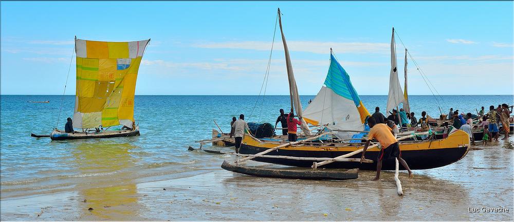 Retour des pêcheurs vezo à Ambolimailaka dans la baie d'Ifaty. (42)