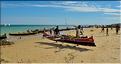 Retour des pêcheurs vezo à Ambolimailaka dans la baie d'Ifaty. (56)
