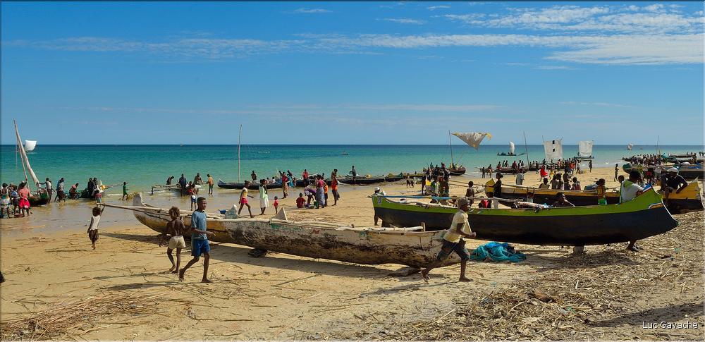 Retour des pêcheurs vezo à Ambolimailaka dans la baie d'Ifaty. (60)