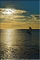 Le soleil est près de l'horizon, les pêcheurs Vezo de Mangily sont de retour. (7)