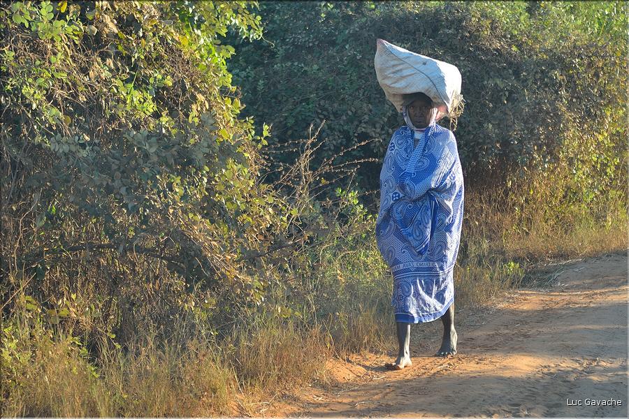 Dans les environs de Morondava. (2)