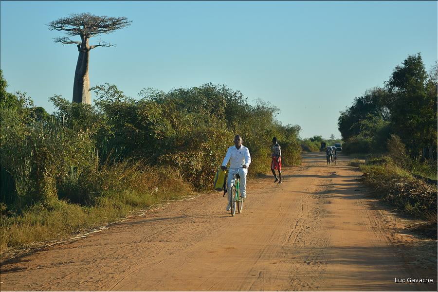 Dans les environs de Morondava. (4)