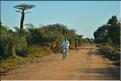 Dans les environs de Morondava. (4)