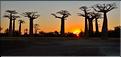 L'Allée des baobabs en fin de journée. (33)