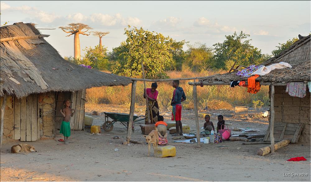 Les habitants de l'allée des baobabs. (3)