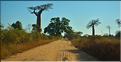 Le long de la route entre Morondava et Belo-sur-Tsiribihina. (1)