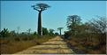Le long de la route entre Morondava et Belo-sur-Tsiribihina. (2)