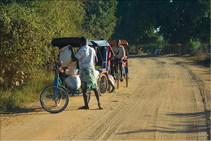 Le long de la route entre Morondava et Belo-sur-Tsiribihina. (5)