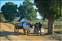 Le long de la route entre Morondava et Belo-sur-Tsiribihina. (6)