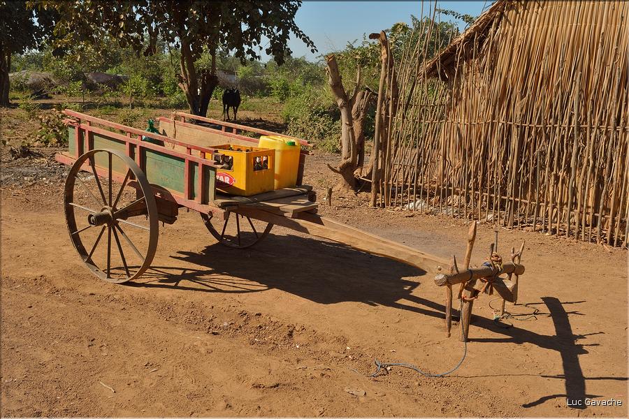 Le long de la route entre Morondava et Belo-sur-Tsiribihina. (13)