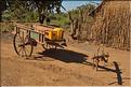 Le long de la route entre Morondava et Belo-sur-Tsiribihina. (13)