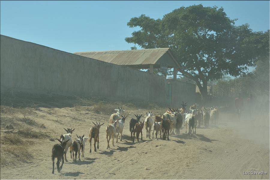 Dans les rues de Belo-sur-Tsiribihinia. (2)