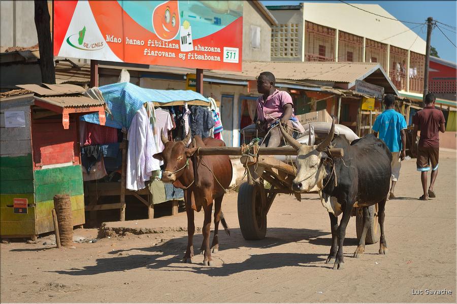 Dans les rues de Belo-sur-Tsiribihinia. (3)