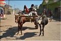 Dans les rues de Belo-sur-Tsiribihinia. (5)
