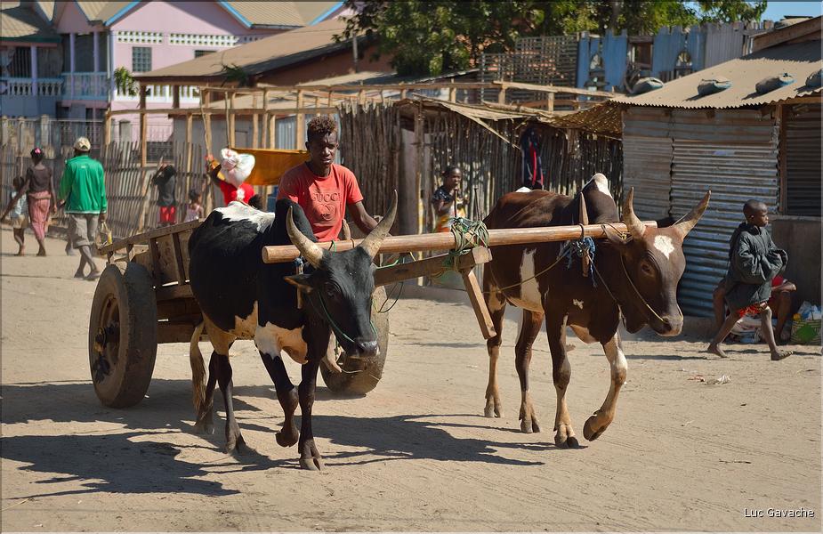 Dans les rues de Belo-sur-Tsiribihinia. (37)