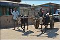 Dans les rues de Belo-sur-Tsiribihinia. (38)