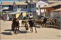 Dans les rues de Belo-sur-Tsiribihinia. (39)