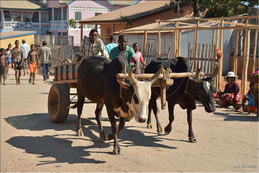 Dans les rues de Belo-sur-Tsiribihinia. (40)